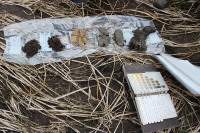 Die Bodenstruktur von links nach rechts: dunkler Mutterboden, gelber Sand, grauer Sand (diese Schicht liegt meist unter Grundwasser), tonhaltiger Kleiboden.